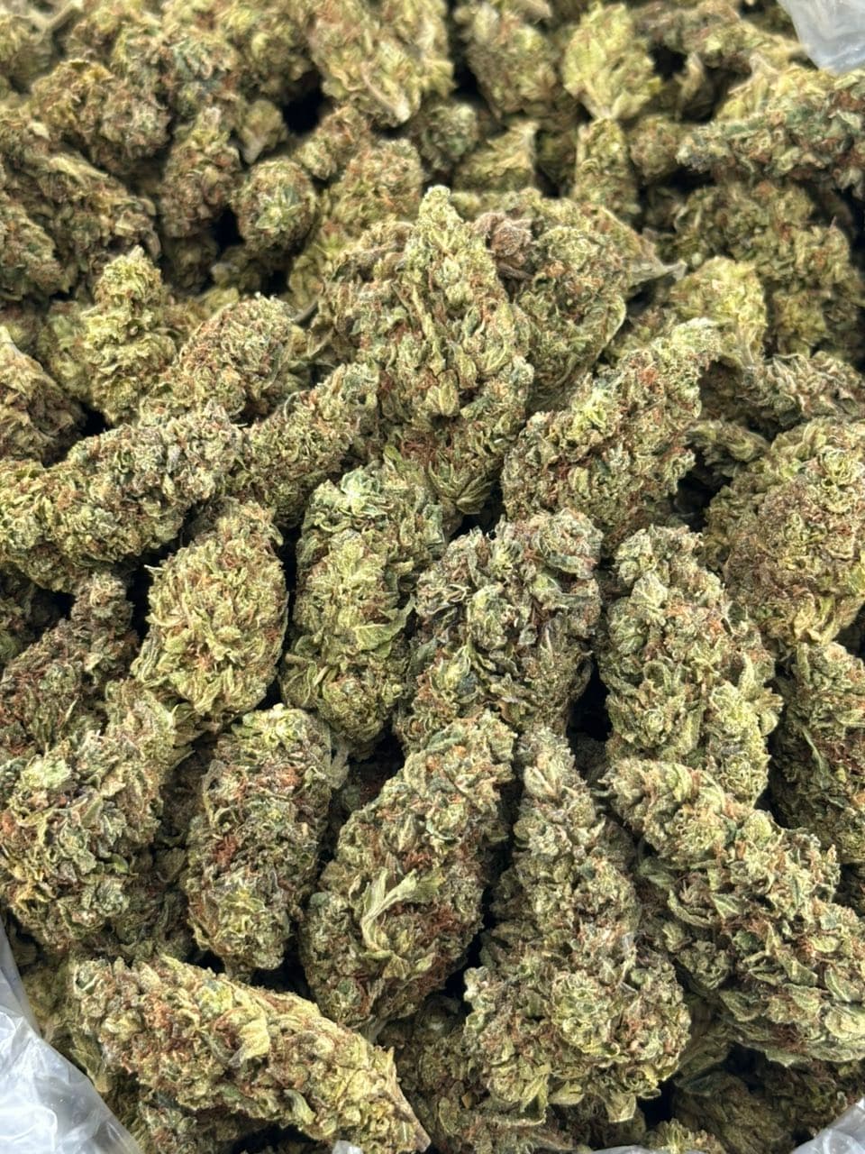 Biscotti King — gallery photo 2 of flower from Real Duck Distro