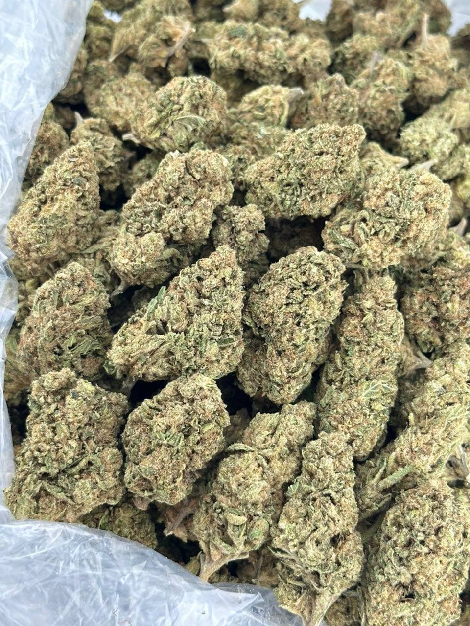 Vanilla gelato — premium flower from Real Duck Distro Los Angeles, buy online with nationwide cannabis shipping