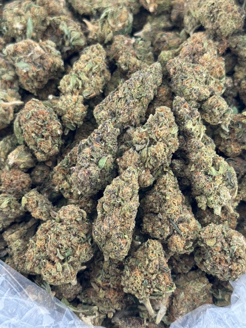 Pop Latto — gallery photo 2 of flower from Real Duck Distro