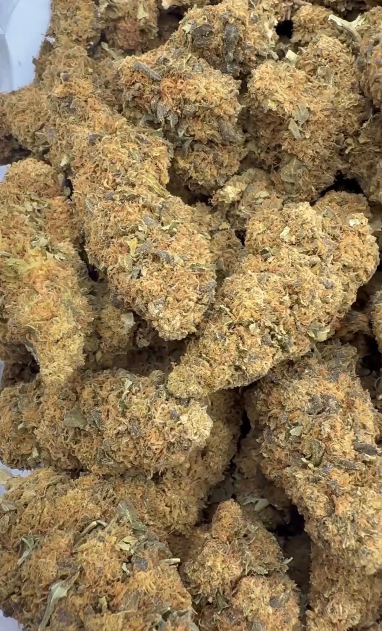 $250 lows
