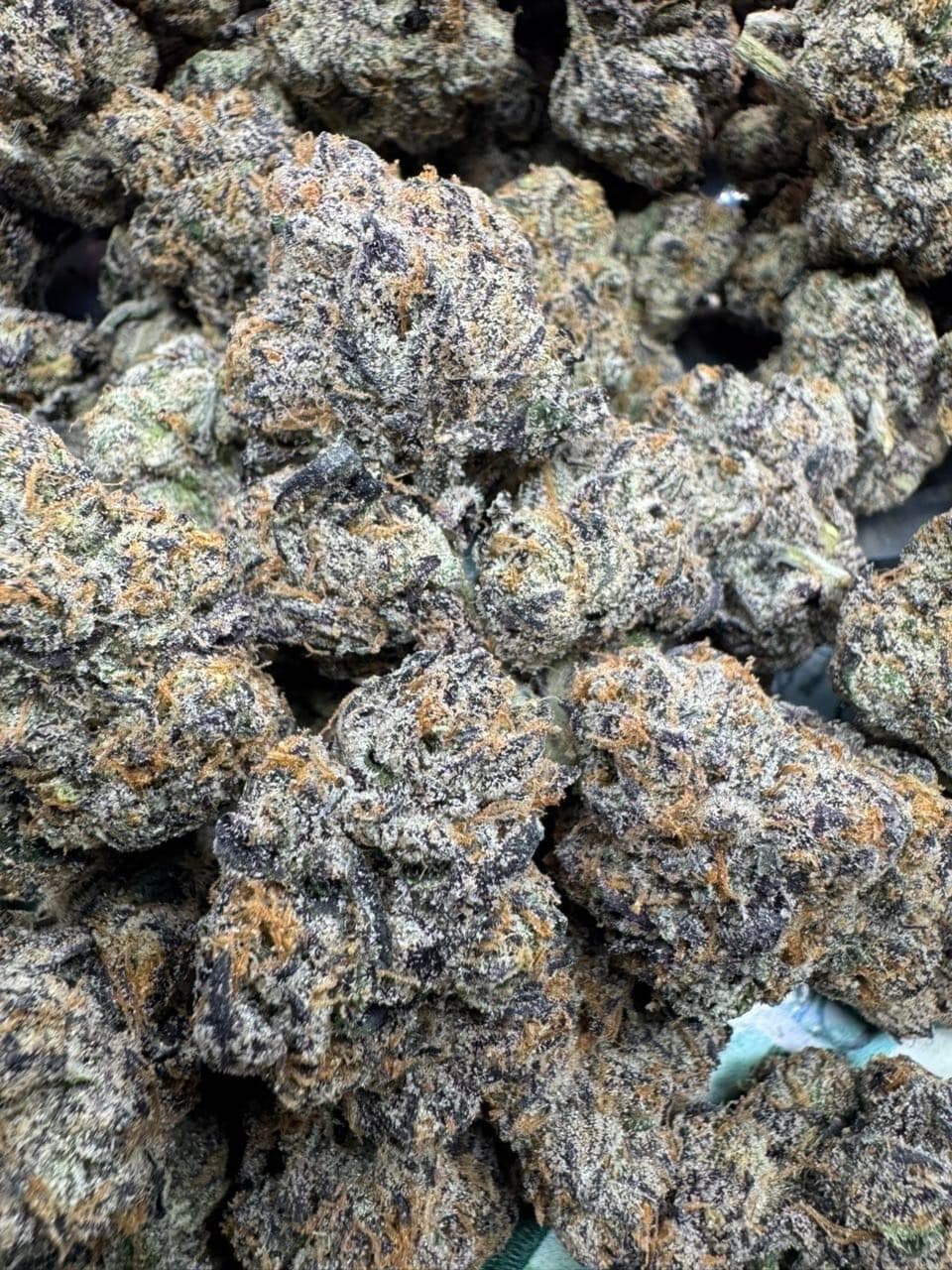 Premium Cannabis 🏆 🍒Lemon Cherry Pop rock | Real Duck Distro Premium Cannabis 🏆 🍒Lemon Cherry Pop rock — premium flower from Real Duck Distro Los Angeles, nationwide cannabis shipping