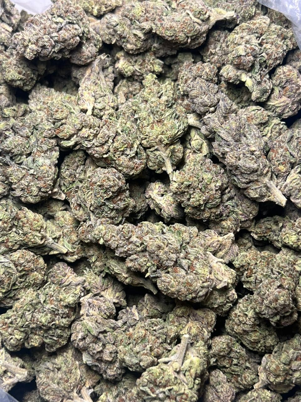 Jealousy license mixed light | Real Duck Distro Jealousy license mixed light — premium flower from Real Duck Distro Los Angeles, buy online with nationwide cannabis shipping