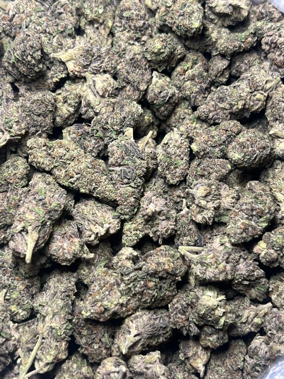 BLACK MAGIC MIXED LIGHTS | Real Duck Distro BLACK MAGIC MIXED LIGHTS — premium flower from Real Duck Distro Los Angeles, buy online with nationwide cannabis shipping