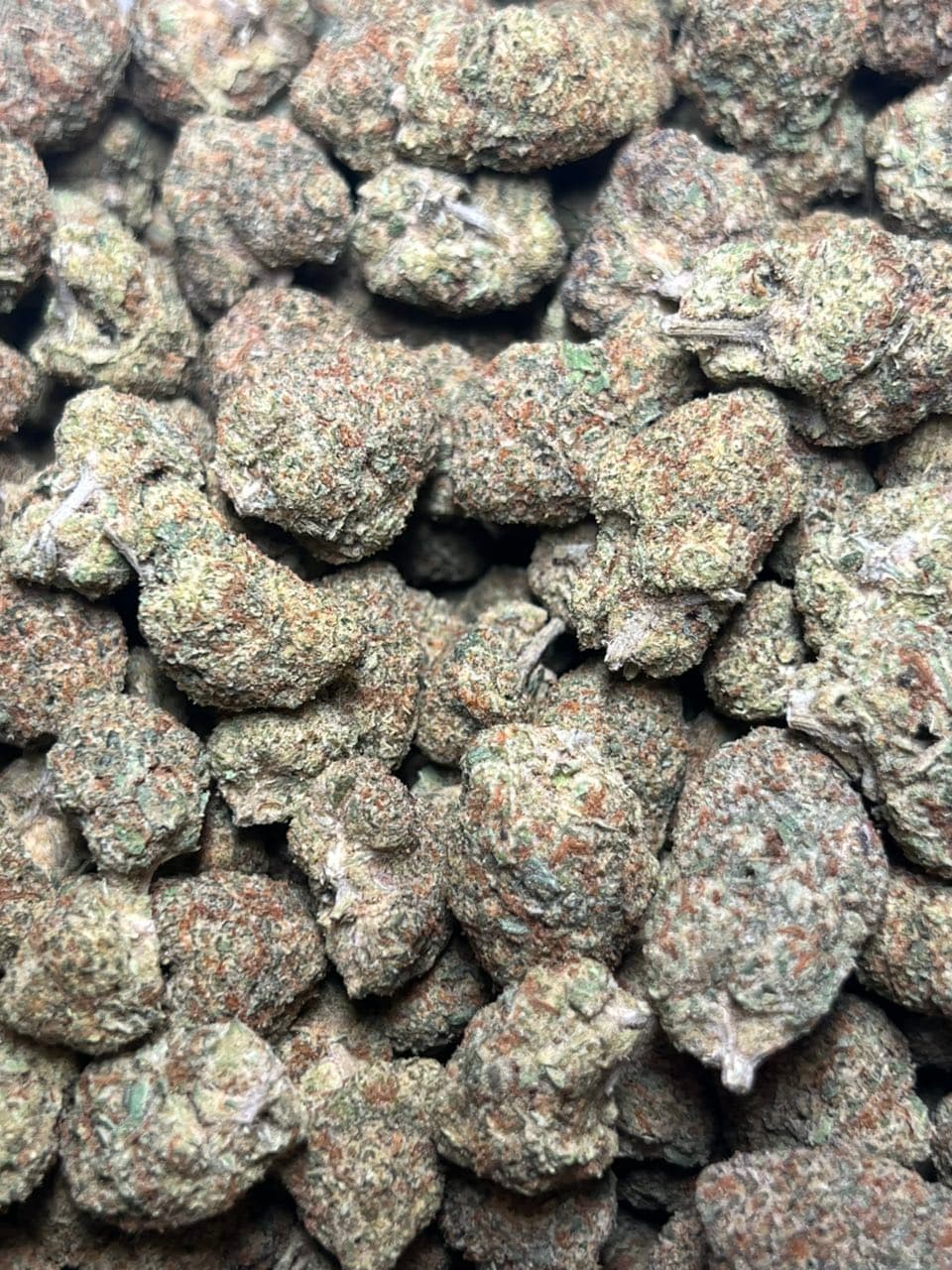 Lemon cherry | Real Duck Distro Lemon cherry — premium flower from Real Duck Distro Los Angeles, buy online with nationwide cannabis shipping
