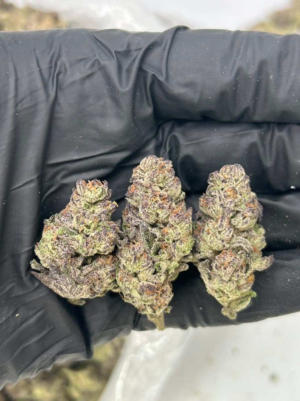 Frosted Grape Runtz | Real Duck Distro Frosted Grape Runtz — premium flower from Real Duck Distro Los Angeles, buy online with nationwide cannabis shipping