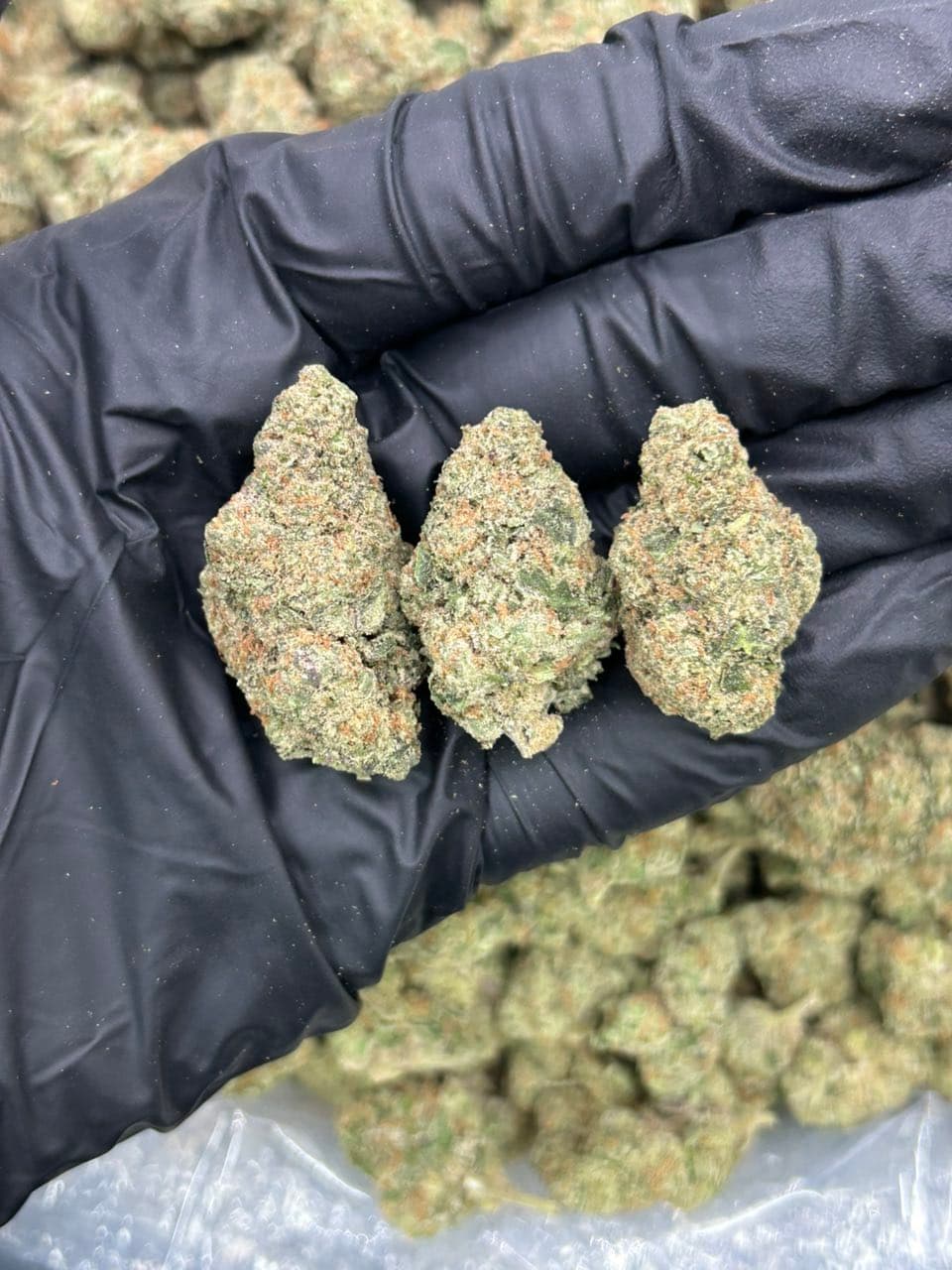 Blue lemon | Real Duck Distro Blue lemon — premium flower from Real Duck Distro Los Angeles, buy online with nationwide cannabis shipping