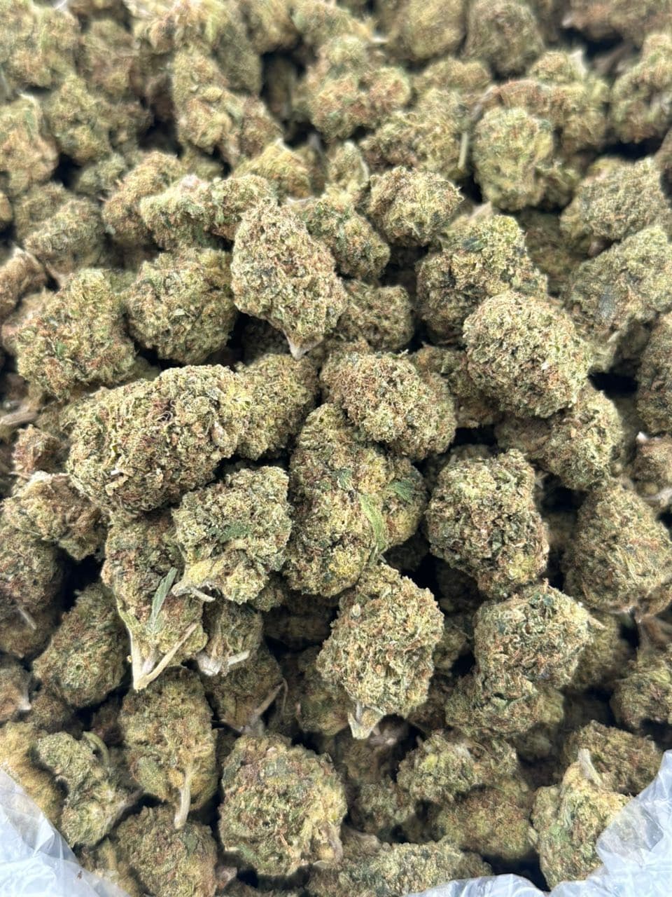CREAM COOKIE | Real Duck Distro CREAM COOKIE — premium flower from Real Duck Distro Los Angeles, nationwide cannabis shipping