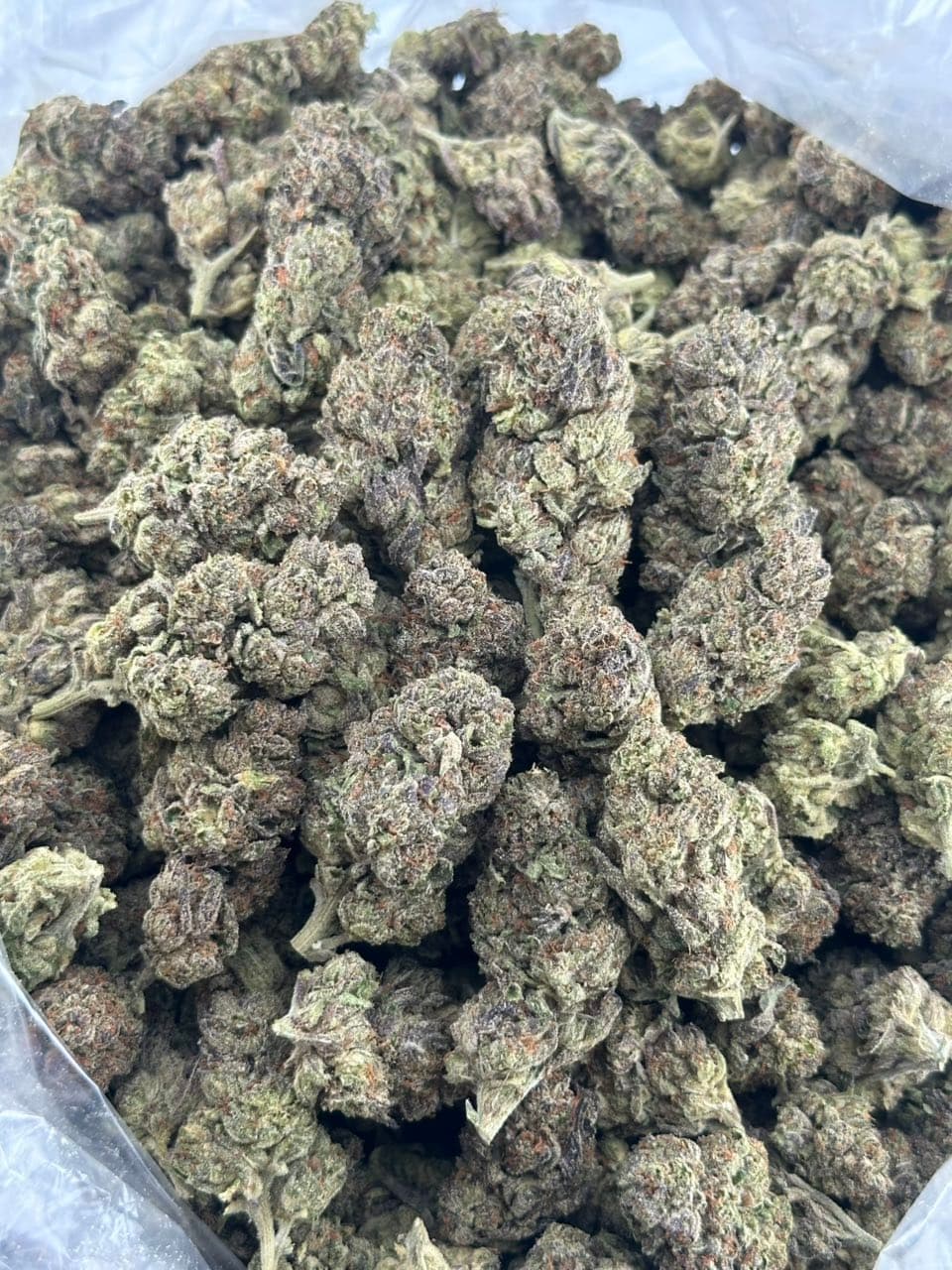 Smuckers | Real Duck Distro Smuckers — premium flower from Real Duck Distro Los Angeles, buy online with nationwide cannabis shipping