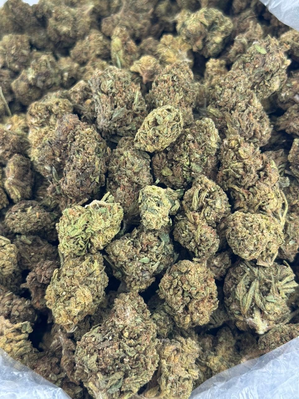 Dankaroo | Real Duck Distro Dankaroo — premium flower from Real Duck Distro Los Angeles, nationwide cannabis shipping