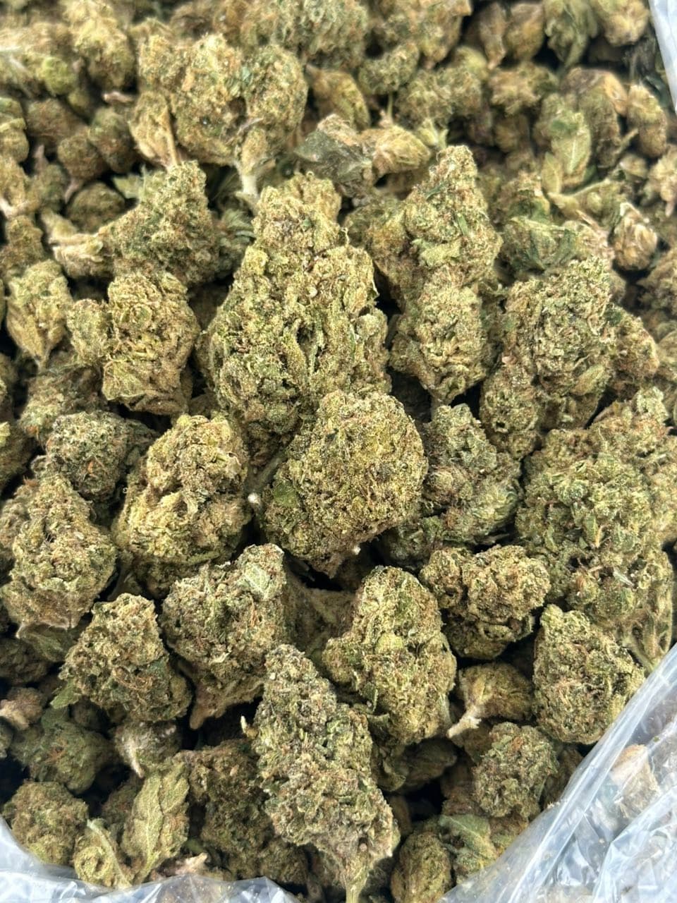 Space Jam | Real Duck Distro Space Jam — premium flower from Real Duck Distro Los Angeles, buy online with nationwide cannabis shipping