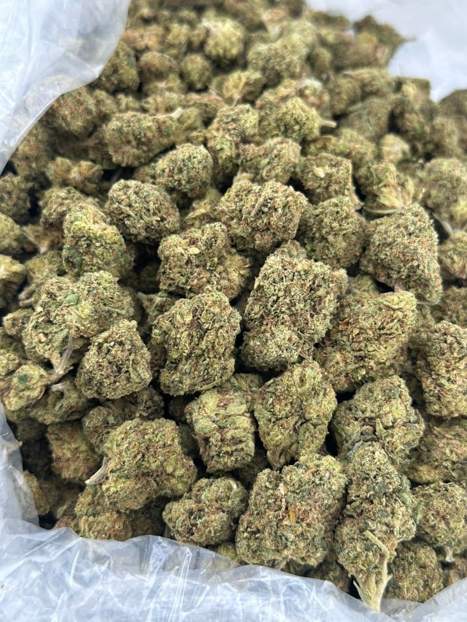 Kush Berry | Real Duck Distro Kush Berry — premium flower from Real Duck Distro Los Angeles, nationwide cannabis shipping