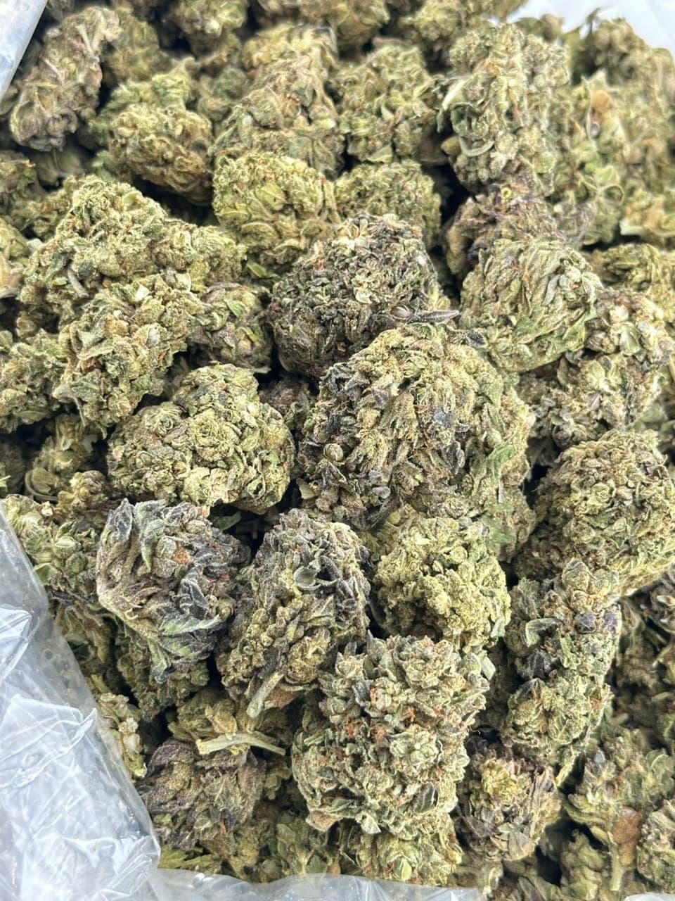 Slush puppy | Real Duck Distro Slush puppy — premium flower from Real Duck Distro Los Angeles, nationwide cannabis shipping