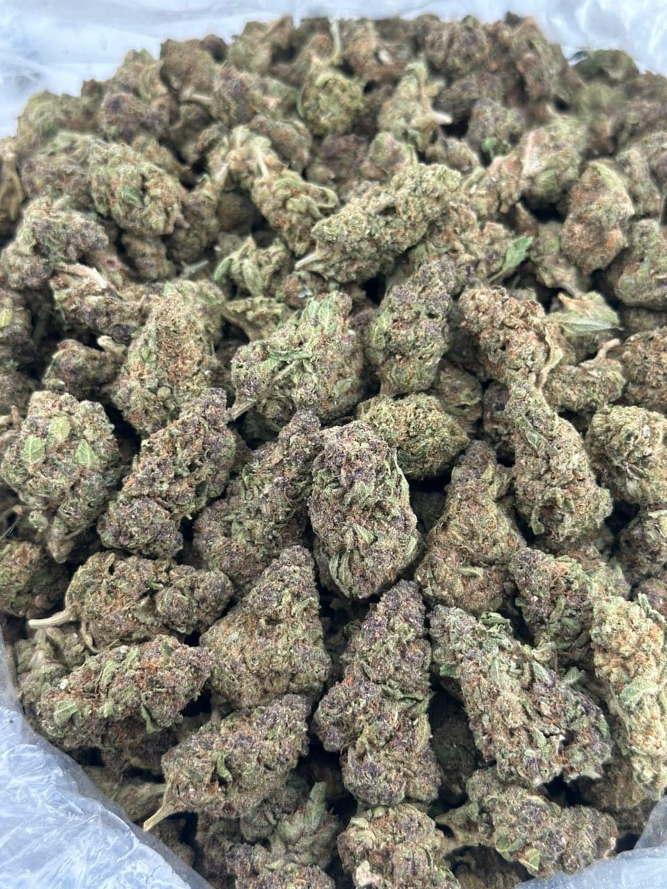 Melon Burst | Real Duck Distro Melon Burst — premium flower from Real Duck Distro Los Angeles, nationwide cannabis shipping
