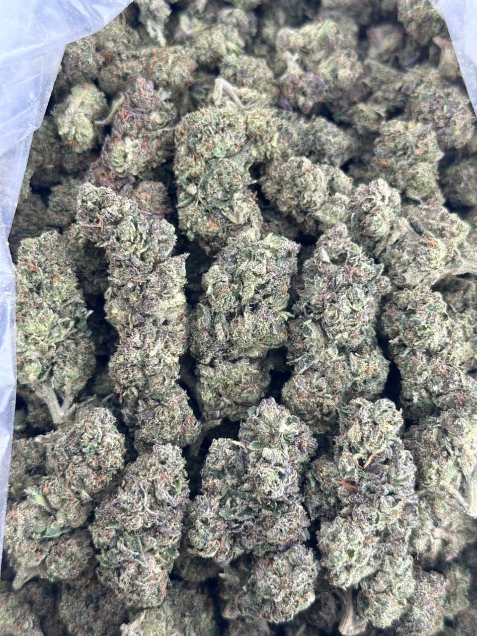 White runtz | Real Duck Distro White runtz — premium flower from Real Duck Distro Los Angeles, buy online with nationwide cannabis shipping