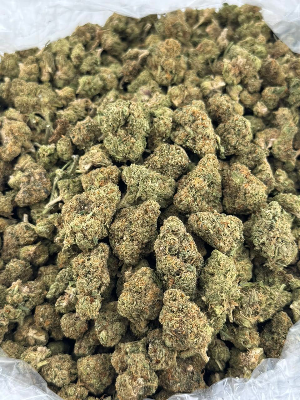 Honey Butter | Real Duck Distro Honey Butter — premium flower from Real Duck Distro Los Angeles, nationwide cannabis shipping