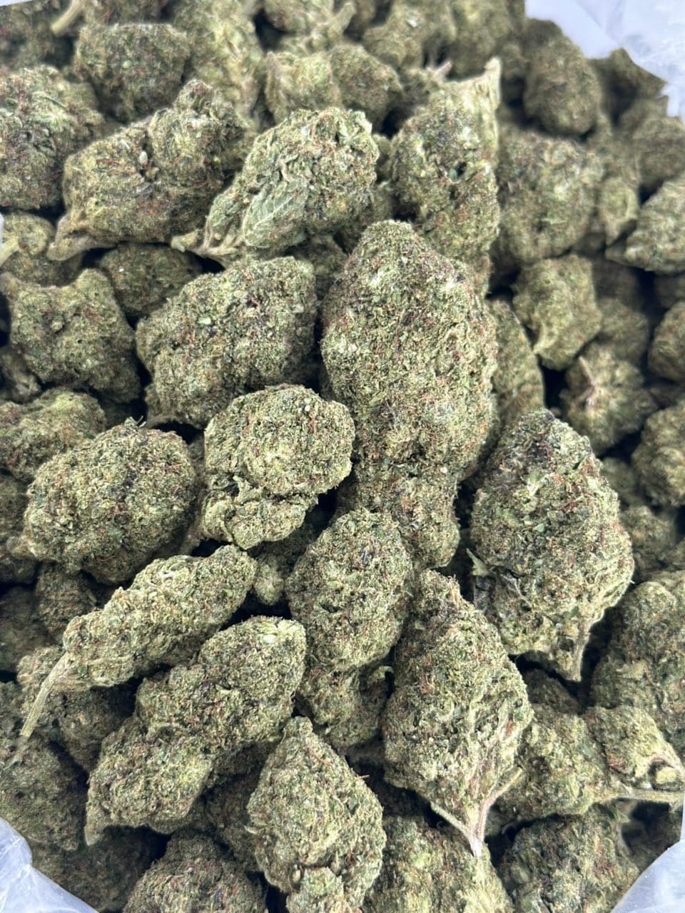Wedding cake | Real Duck Distro Wedding cake — premium flower from Real Duck Distro Los Angeles, buy online with nationwide cannabis shipping