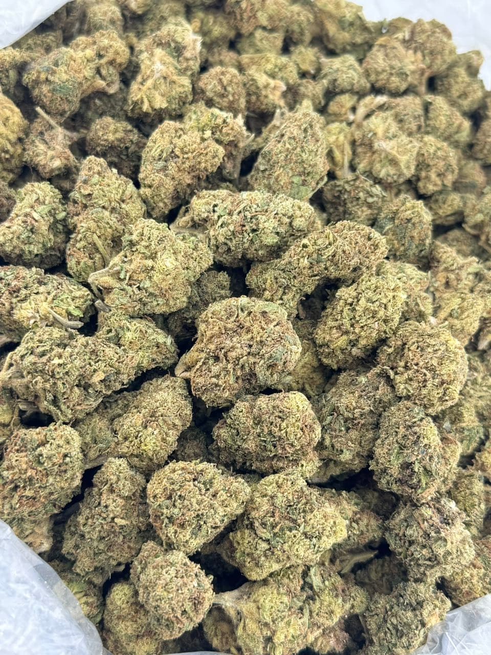 Gas Face | Real Duck Distro Gas Face — premium flower from Real Duck Distro Los Angeles, nationwide cannabis shipping