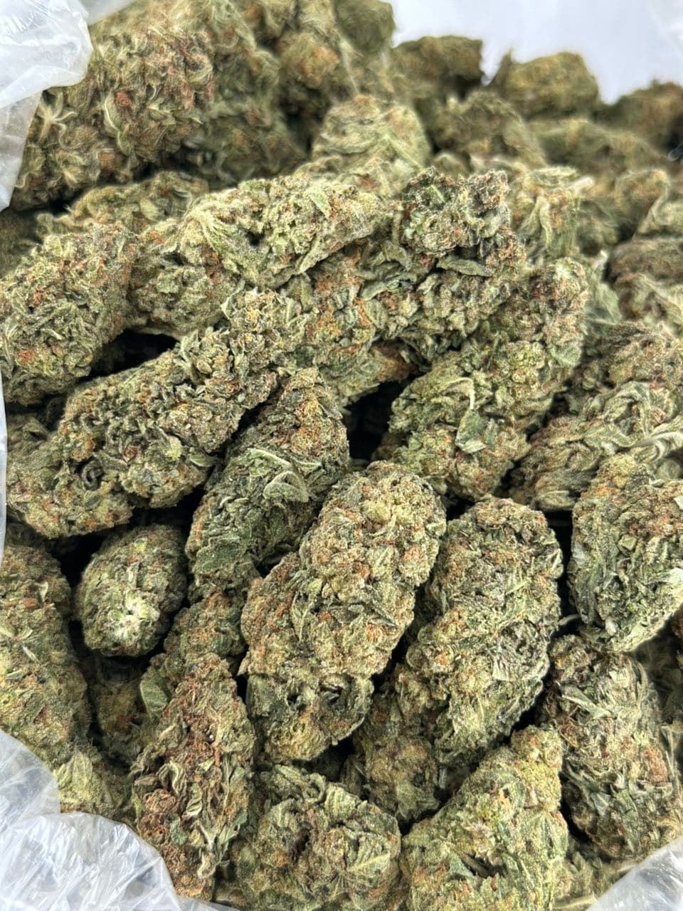 Bazookaz | Real Duck Distro Bazookaz — premium flower from Real Duck Distro Los Angeles, nationwide cannabis shipping